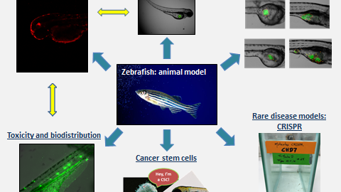 Laura Sanchez attended as a guest speaker to give a conference at the Institute of Biomedical Research "Alberto Sols" IIB (CSIC-UAM)