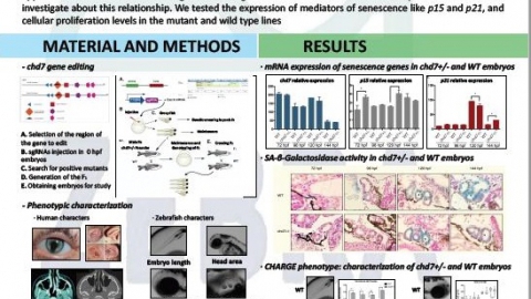 Laura S&aacute;nchez attended at the 10th Annual NGS & Clinical Diagnostics Congress 