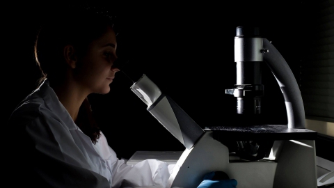 "A luz do saber", the 3rd prize winning photo.