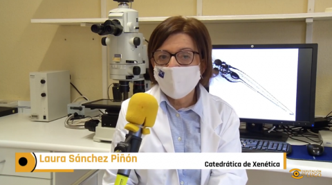 Professor Laura S&aacute;nchez, Leader of ZebraBioRes group