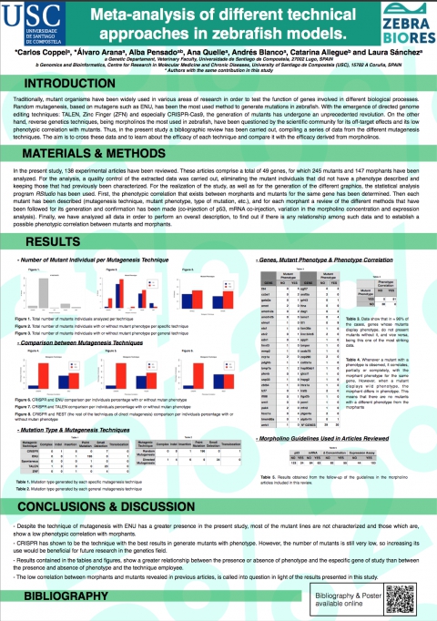 Poster presented in the congress