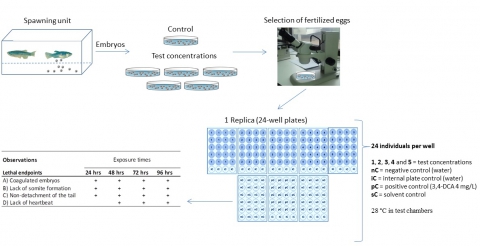 Toxicogenomics - Toxicology area