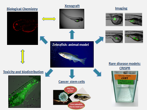 Laura Sanchez attended as a guest speaker to give a conference at the Institute of Biomedical Research "Alberto Sols" IIB (CSIC-UAM)