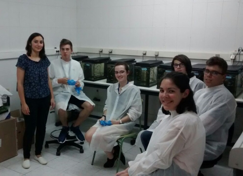 15 and 16 years old students of the Xuvenciencia program (Campus de Ver&aacute;n USC) visit our laboratory and our aquarium to know more about the research world 