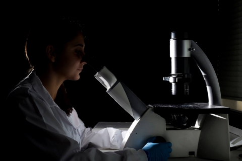 "A luz do saber", the 3rd prize winning photo.