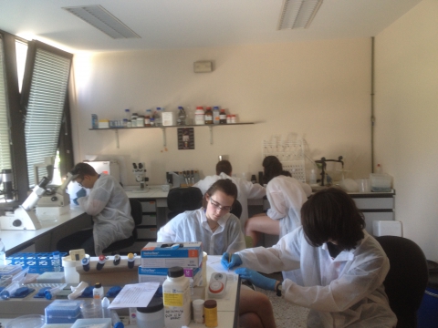 15 and 16 years old students of the Xuvenciencia program (Campus de Ver&aacute;n USC) visit our laboratory and our aquarium to know more about the research world 