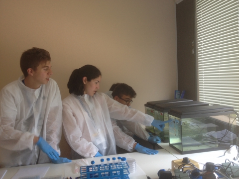15 and 16 years old students of the Xuvenciencia program (Campus de Ver&aacute;n USC) visit our laboratory and our aquarium to know more about the research world 